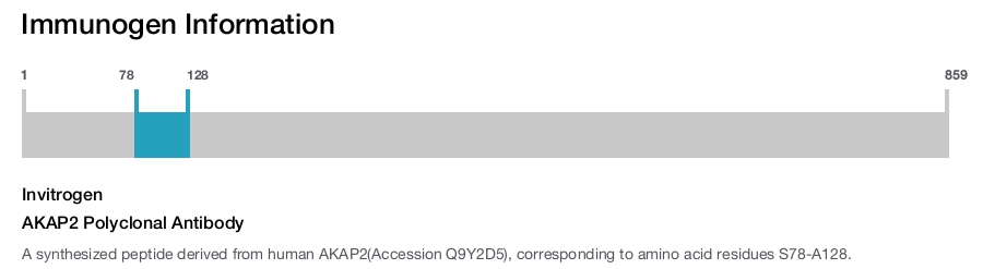 AKAP2 Polyclonal Antibody