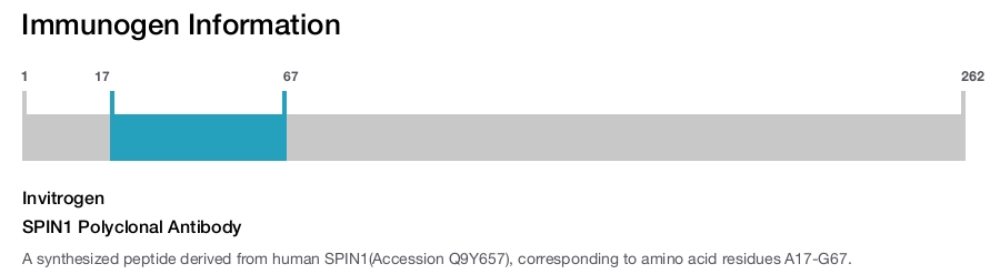 SPIN1 Polyclonal Antibody