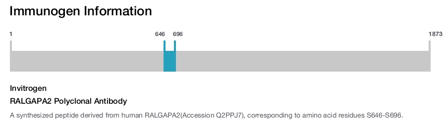 RALGAPA2 Polyclonal Antibody