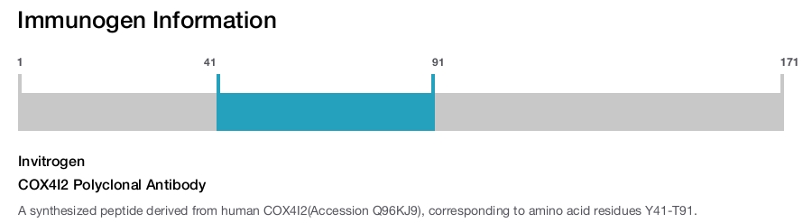 COX4I2 Polyclonal Antibody