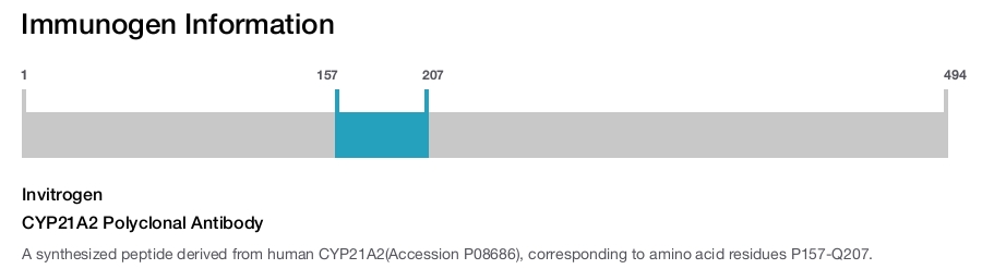 CYP21A2 Polyclonal Antibody