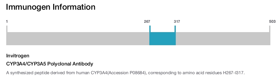 CYP3A4/CYP3A5 Polyclonal Antibody