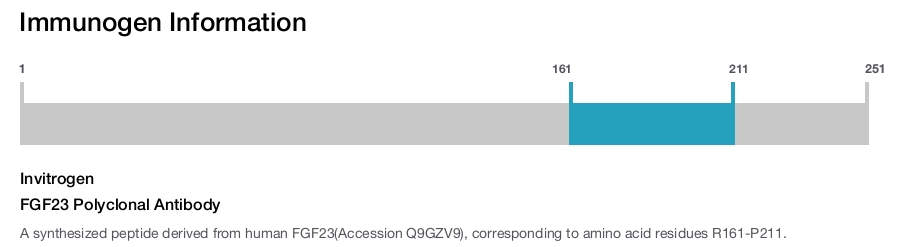 FGF23 Polyclonal Antibody