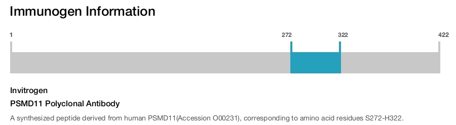 PSMD11 Polyclonal Antibody