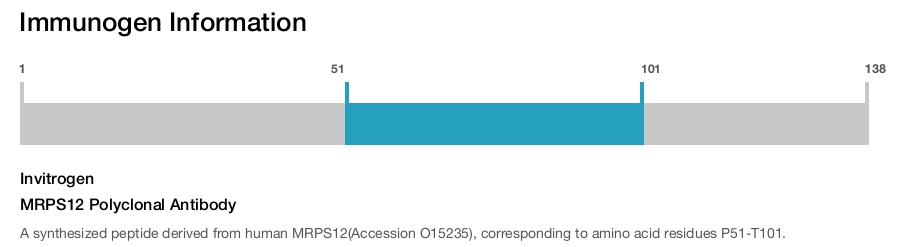 MRPS12 Polyclonal Antibody