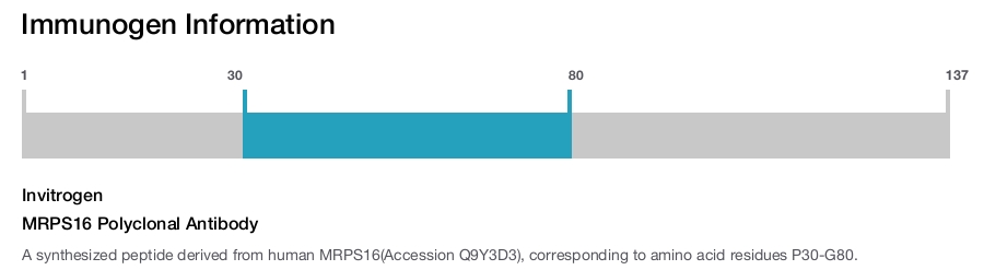 MRPS16 Polyclonal Antibody