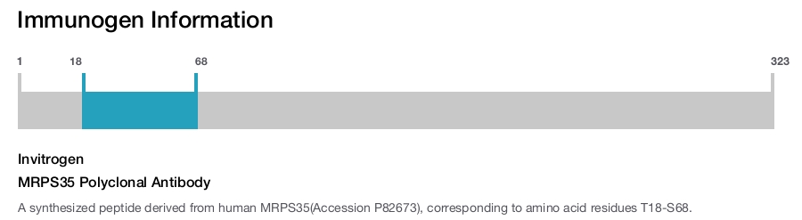 MRPS35 Polyclonal Antibody