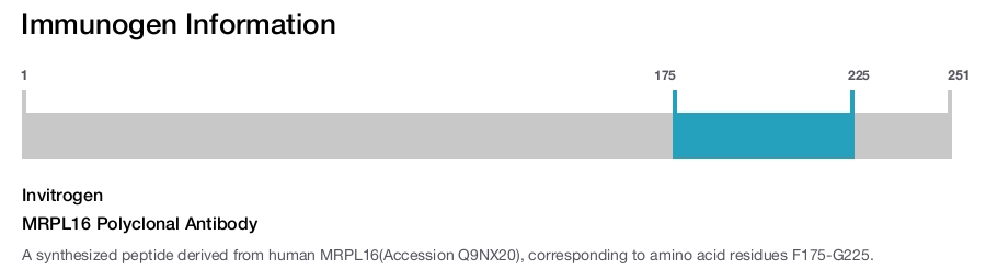 MRPL16 Polyclonal Antibody