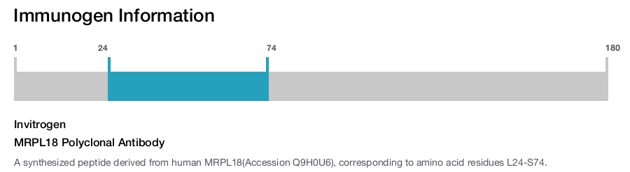 MRPL18 Polyclonal Antibody