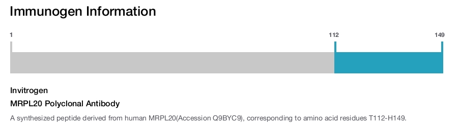 MRPL20 Polyclonal Antibody