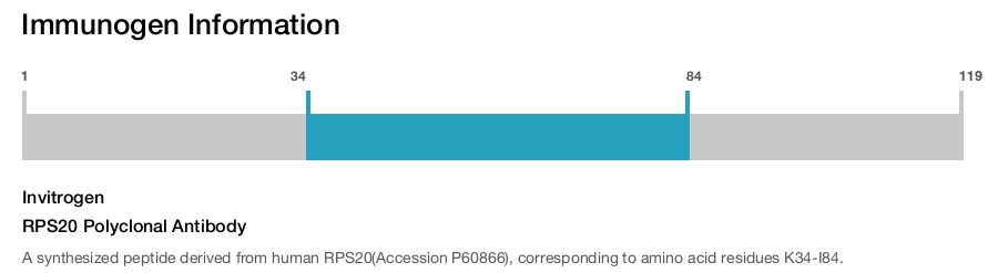 RPS20 Polyclonal Antibody