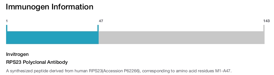 RPS23 Polyclonal Antibody