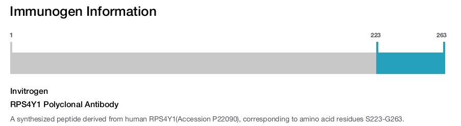 RPS4Y1 Polyclonal Antibody