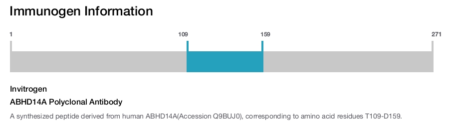 ABHD14A Polyclonal Antibody