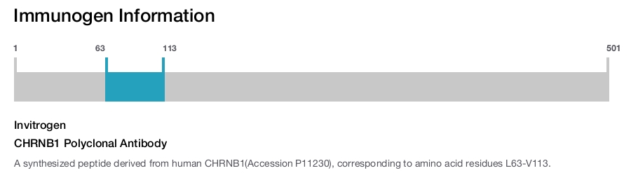 CHRNB1 Polyclonal Antibody