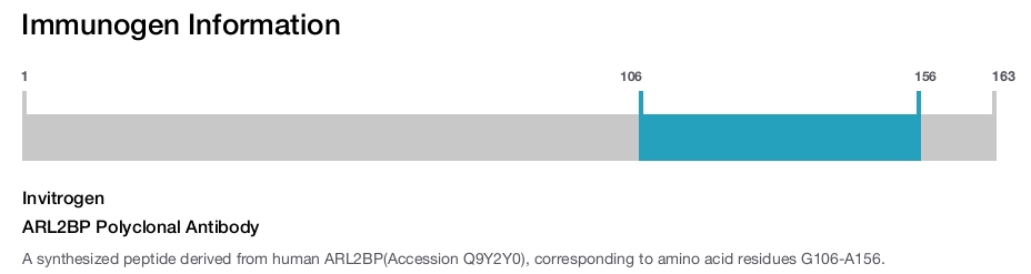 ARL2BP Polyclonal Antibody
