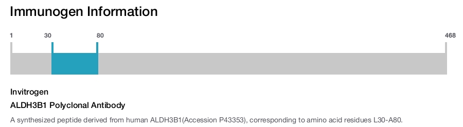 ALDH3B1 Polyclonal Antibody