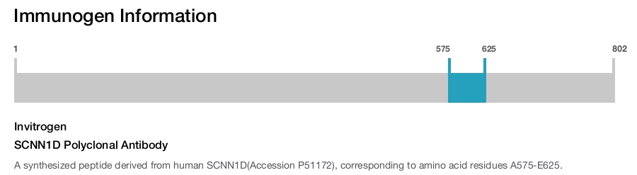 SCNN1D Polyclonal Antibody