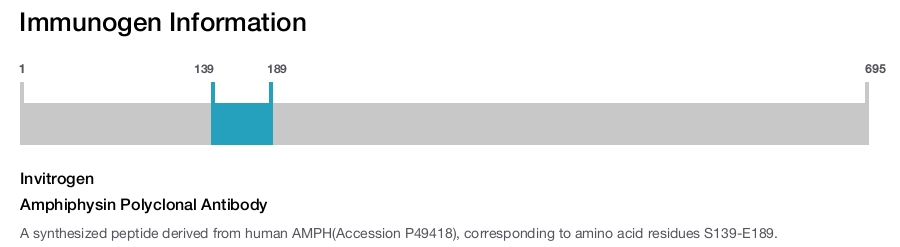 Amphiphysin Polyclonal Antibody