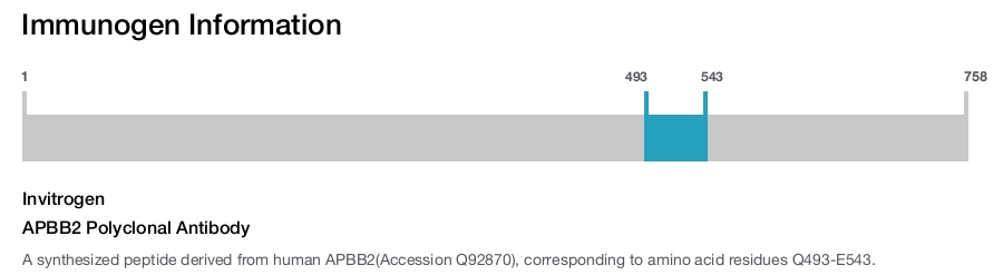 APBB2 Polyclonal Antibody