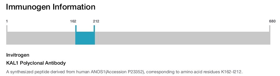 KAL1 Polyclonal Antibody