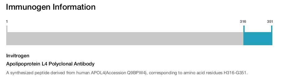 Apolipoprotein L4 Polyclonal Antibody