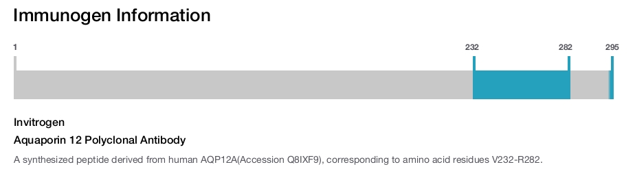 Aquaporin 12 Polyclonal Antibody