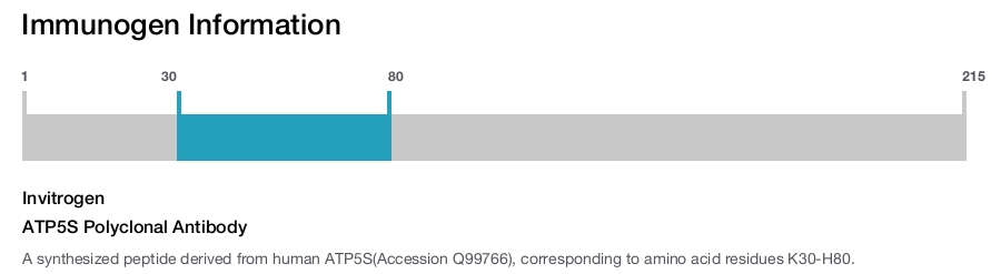 ATP5S Polyclonal Antibody