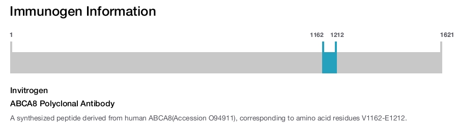 ABCA8 Polyclonal Antibody