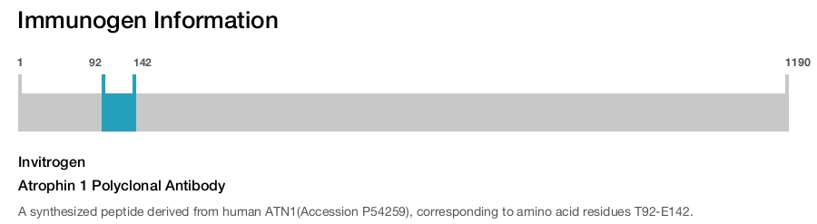 Atrophin 1 Polyclonal Antibody