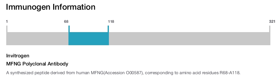 MFNG Polyclonal Antibody