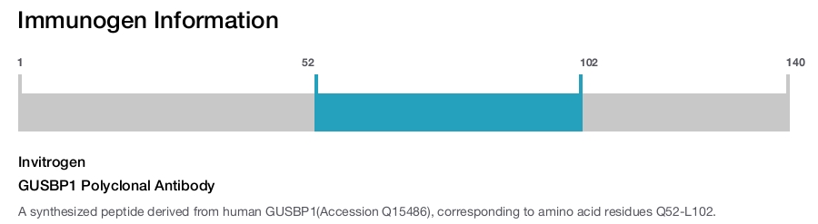 GUSBP1 Polyclonal Antibody