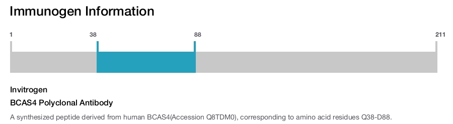 BCAS4 Polyclonal Antibody