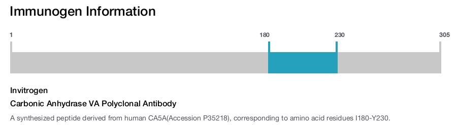 Carbonic Anhydrase VA Polyclonal Antibody