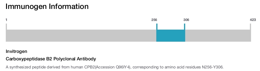 Carboxypeptidase B2 Polyclonal Antibody