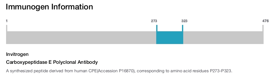 Carboxypeptidase E Polyclonal Antibody