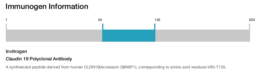 Claudin 19 Polyclonal Antibody