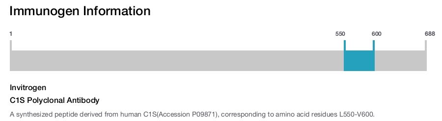 C1S Polyclonal Antibody