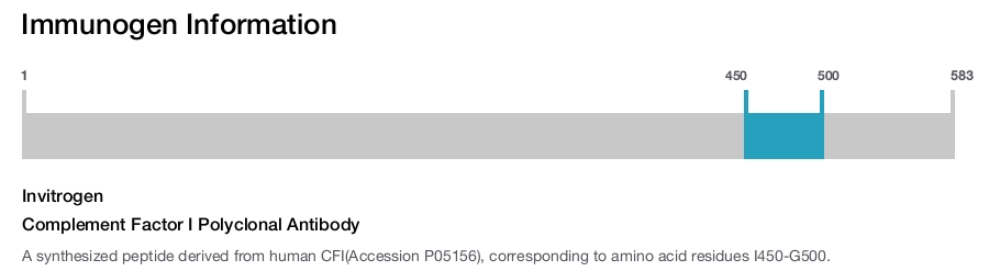 Complement Factor I Polyclonal Antibody