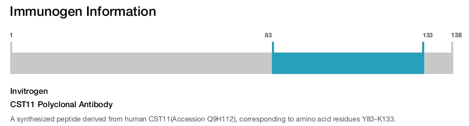 CST11 Polyclonal Antibody