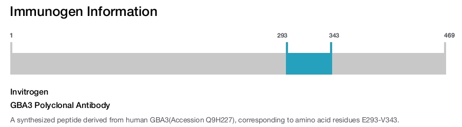 GBA3 Polyclonal Antibody