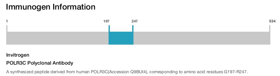 POLR3C Polyclonal Antibody