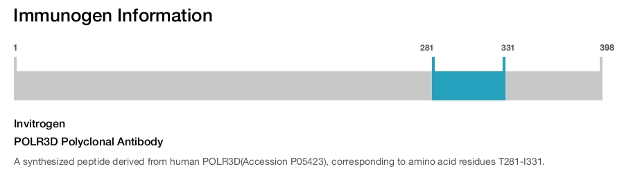 POLR3D Polyclonal Antibody