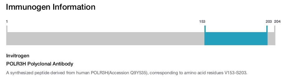 POLR3H Polyclonal Antibody
