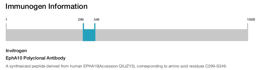 EphA10 Polyclonal Antibody