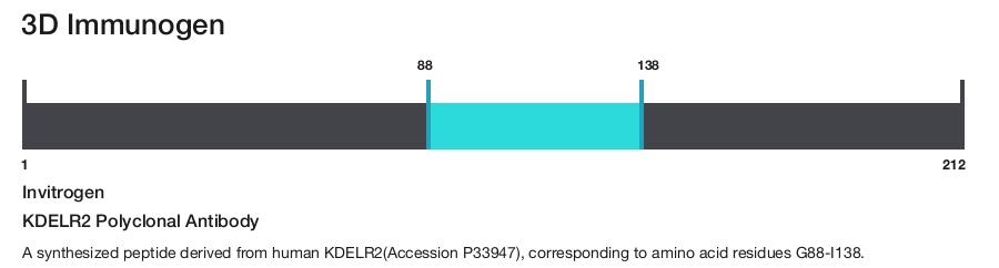 KDELR2 Polyclonal Antibody