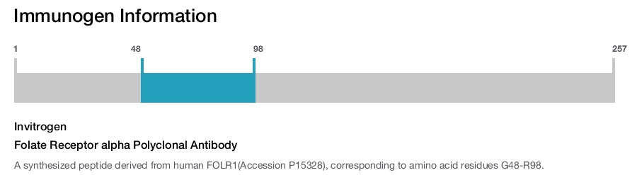 Folate Receptor alpha Polyclonal Antibody