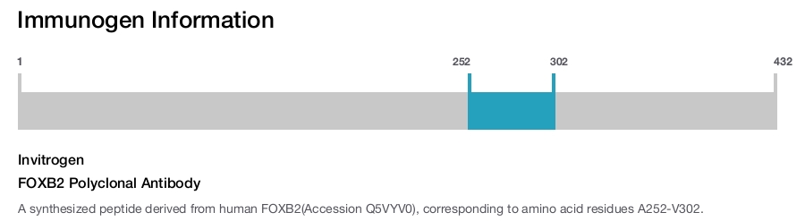 FOXB2 Polyclonal Antibody