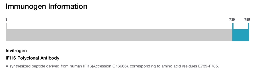 IFI16 Polyclonal Antibody
