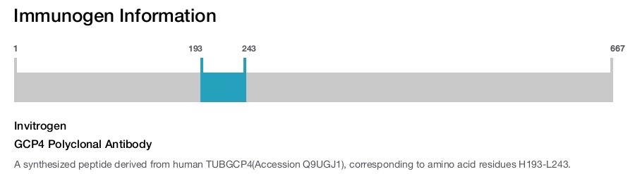 GCP4 Polyclonal Antibody